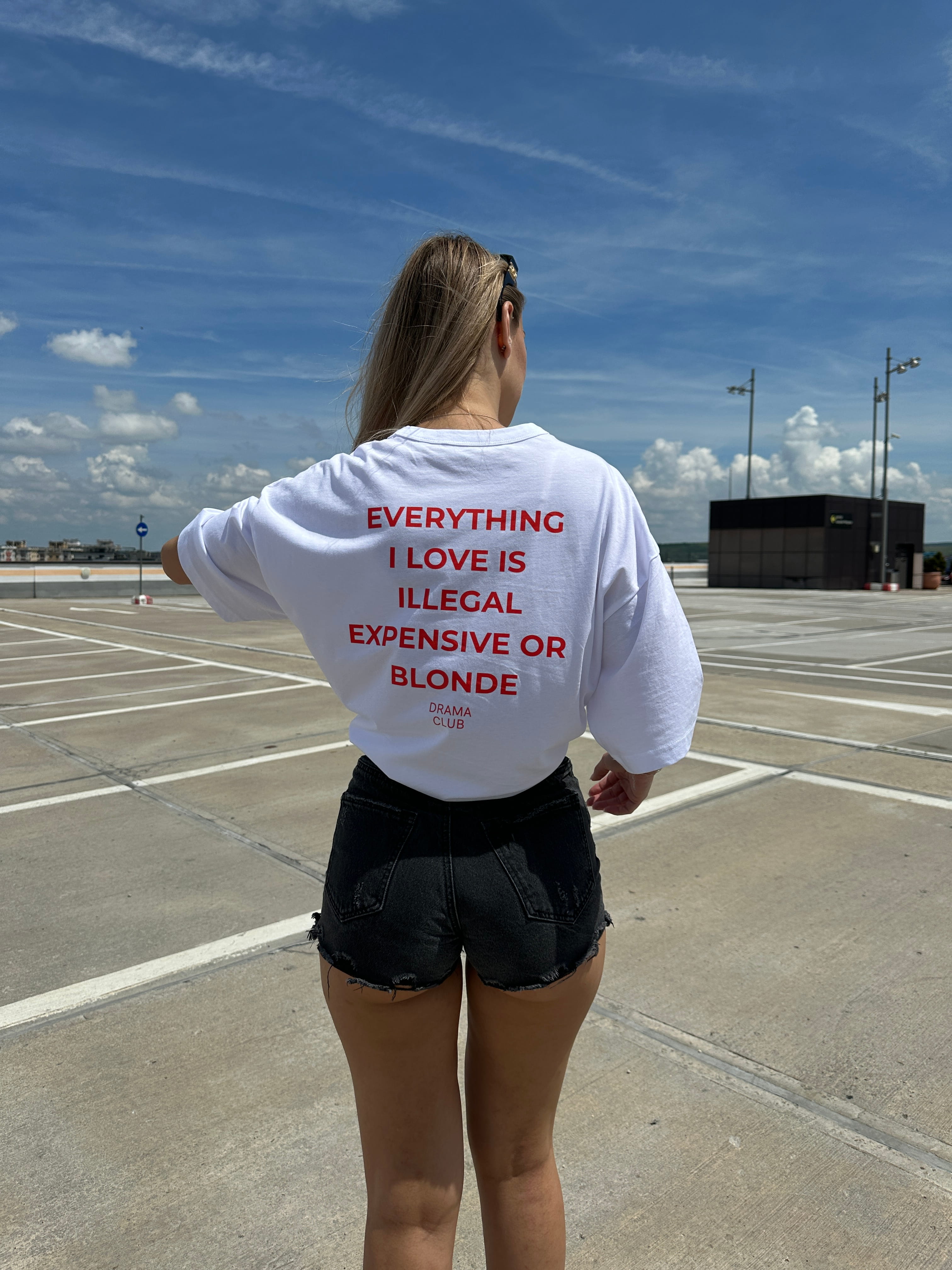 Everything I Love Is Expensive Or Blonde